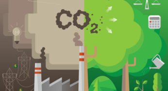 How to Reduce Your Carbon Footprint with 6 Everyday Actions